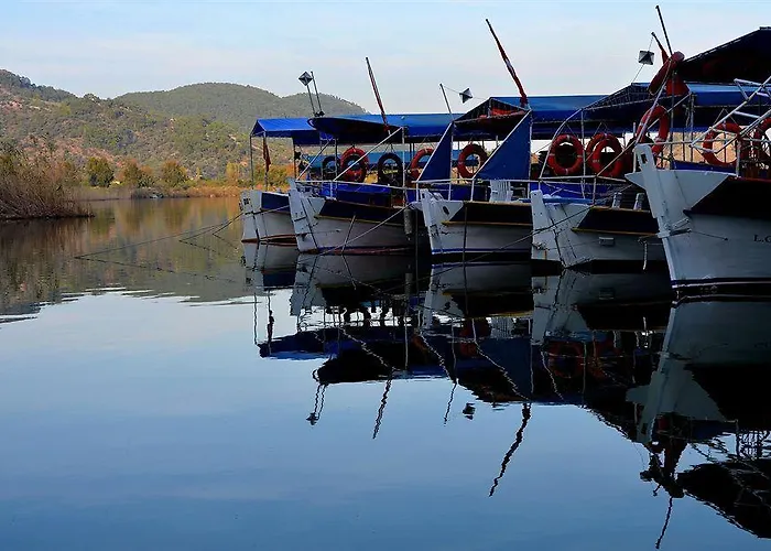 Hotel Caria Premium 3*